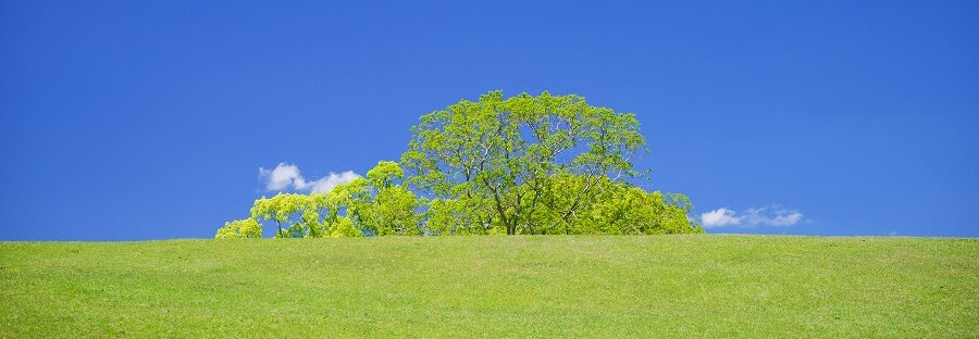 株式会社エコテック