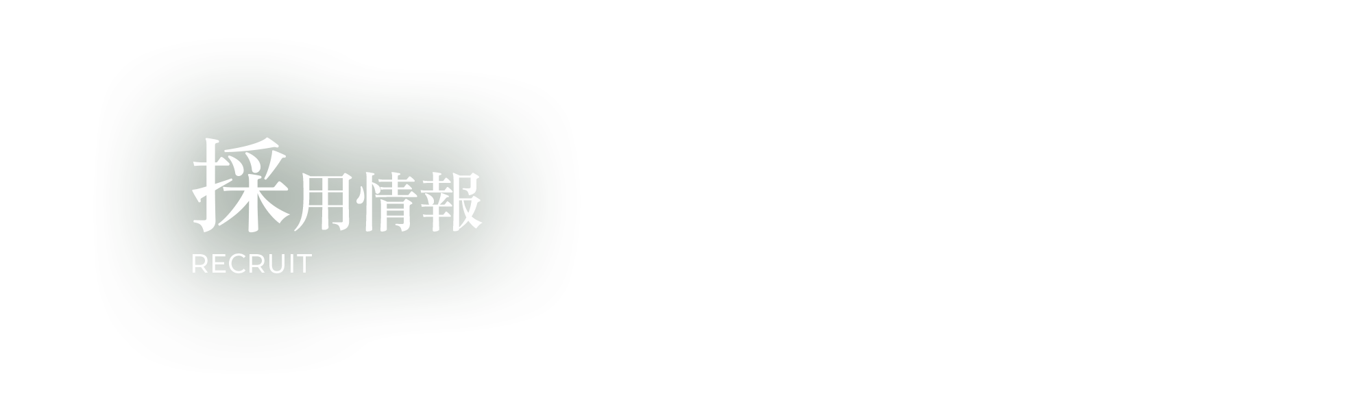 採用情報